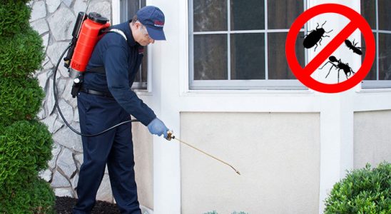 Çerkezköy Böcek ve Haşere İlaçlama böcek ilaçlama ve haşere kontrolü — ilaclama-tr.com